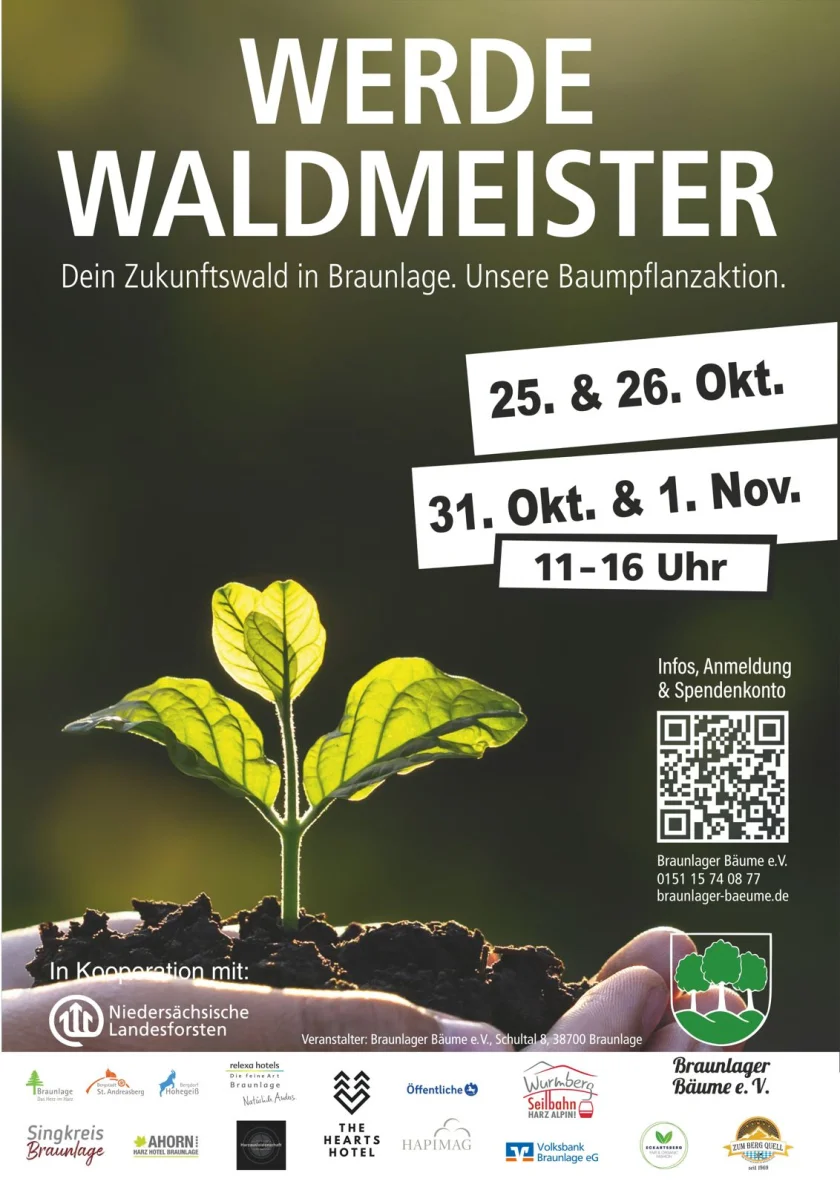 Werde Waldmeister!