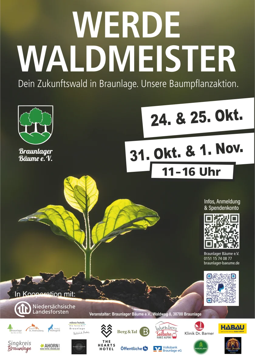 Werde Waldmeister!