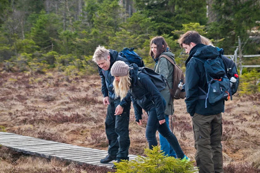 Wilde Tiere – Wilder Wald – Was kreucht und fleucht im Nationalpark Harz?