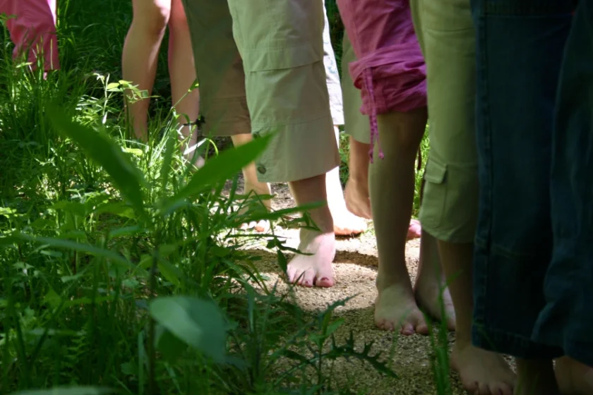 Wildnis hautnah – Barfußwandern im Nationalpark - Barfußwandern im Nationalpark