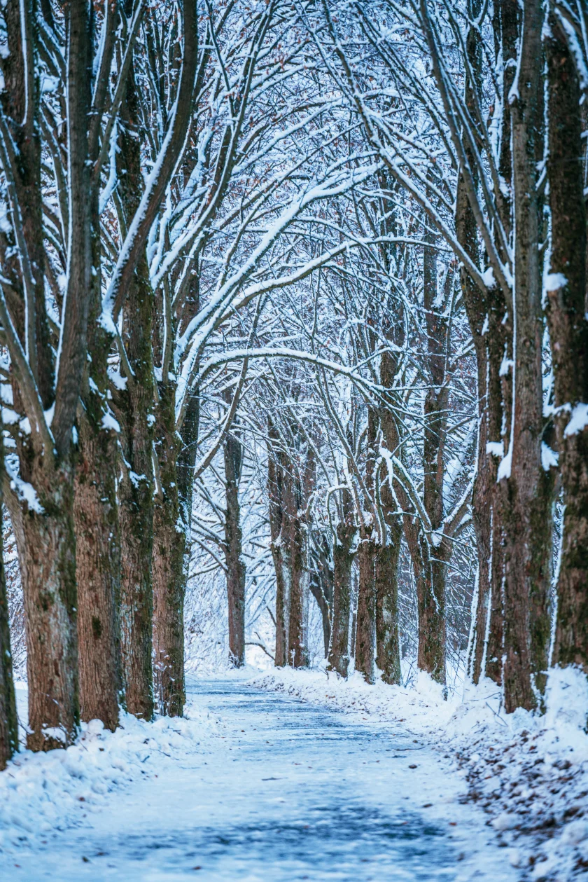 Winterwanderung um Braunlage