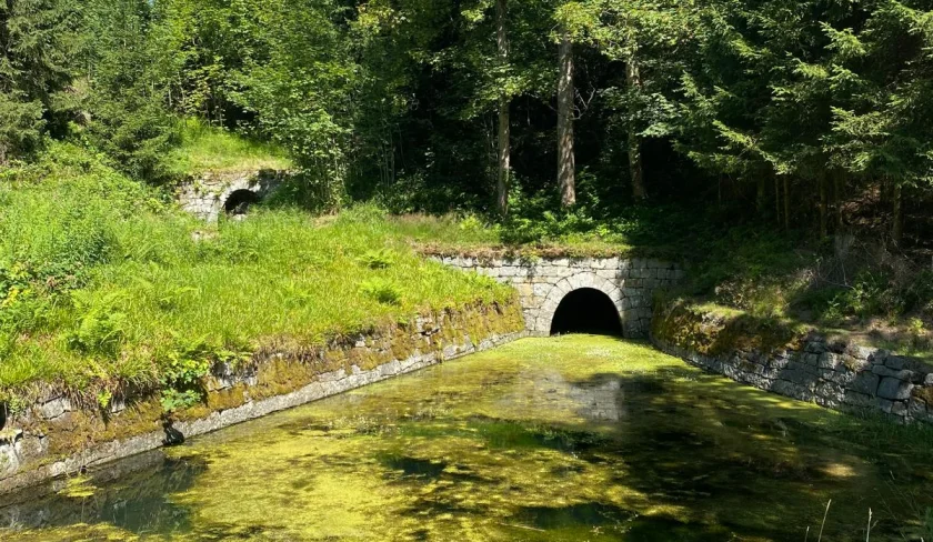 Wo Wasser rückwärts fließt