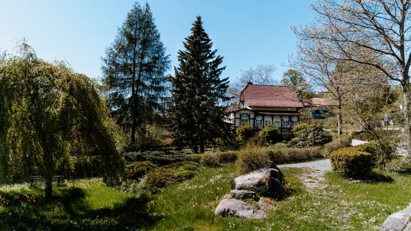 Yoga im Kurpark Schierke – Entspannung und Bewegung inmitten der Natur