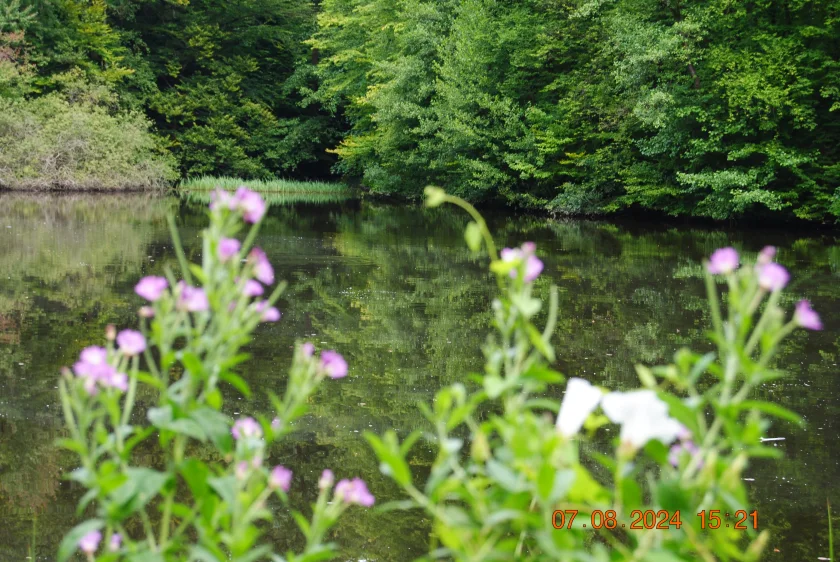 Zeit am Wasser