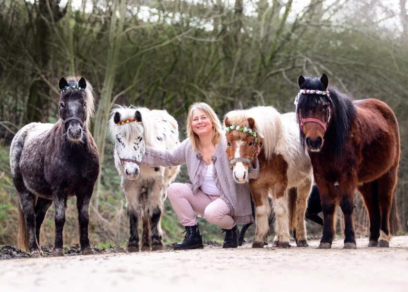 Zeit für kleine Ponyfreunde