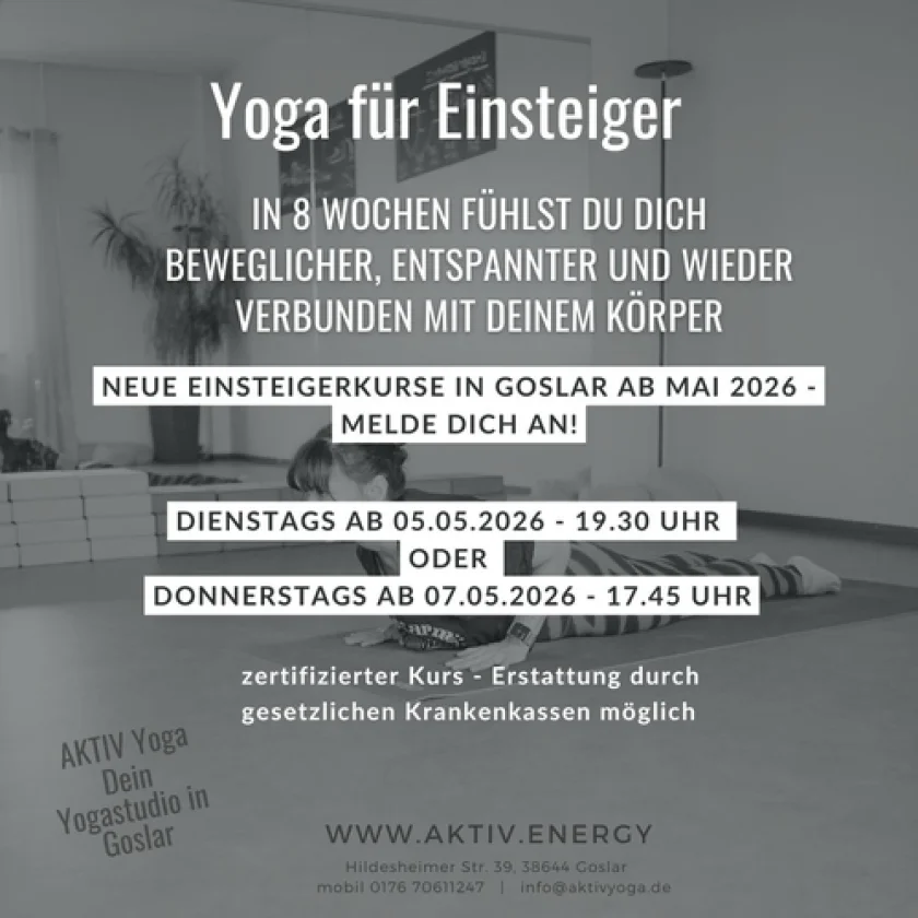 Zertifizierter Yogakurs für Einsteiger